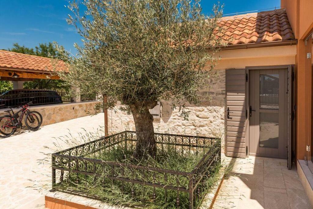 Villa Hirundo Rustica سكرادين المظهر الخارجي الصورة